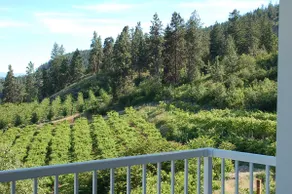 Lakeview Vacation Home (B) in an orchard setting - Image 5