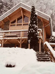 Cozy luxurious Chalet in Champery near the lift. - Image 3