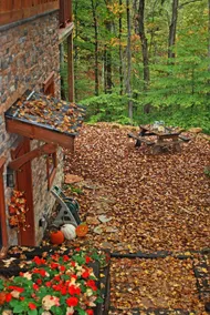 Timber Ridge Cabin Apartment, Franklin/ Leipers! - Image 3