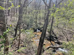 Hilltop Haven w/Creek&Waterfall Dntwn McCaysville - Image 3