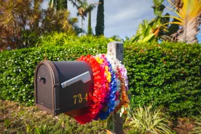 The Great Kona Escape - Image 2