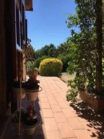 Cottage in the Cecina countryside - Image 5