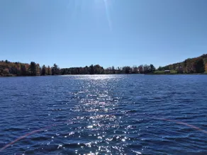 Little Log at Camp Cinnamon - Image 2