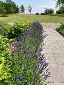 Scenic surroundings with nice beaches. - Image 4