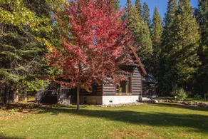 Deerhaven Mountain Hideaway ~ In Mount Shasta - Image 5