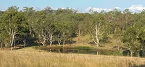 Spacious Family Home-Acreage 15min drive to Boonah - Image 3