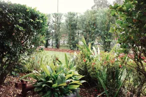 Oasis Garden Cottage -cozy, chic, near everything! - Image 2
