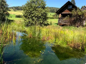 Moarhube vacation home - Image 4