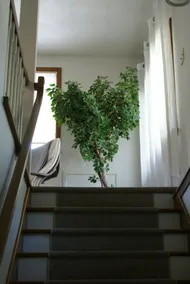 Hummingbird Guest Loft - Image 3