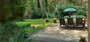 Drentse bungalow in natuur en rust - Image 3