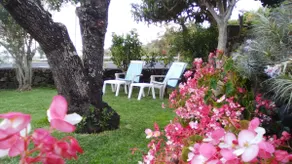 LA FAYA - Image 2