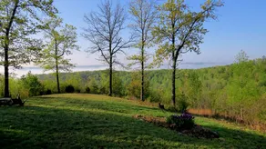 Dixie Mtn. Hideout - Image 3