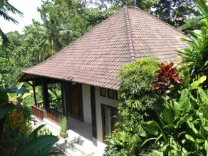 Widi's House with Ubud Jungle Lush View - Image 3
