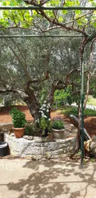 Martha's Home in Fourni Village Crete - Image 5