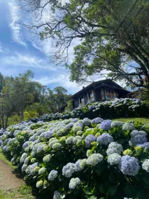 Country House in Rancho Queimado - Image 2