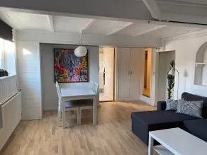 Nice and bright basement apartment - Image 3