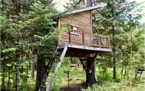 Log Cabin w/Treehouse & Zip Line on Rogue River - Image 5