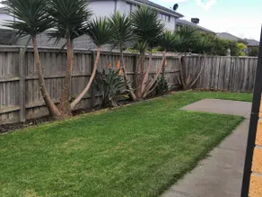 5 min drive to shopping,cozy house in Point Cook - Image 4