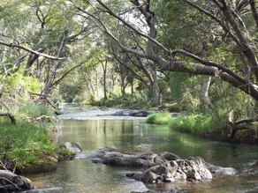 Blyde River Cabins - Image 3