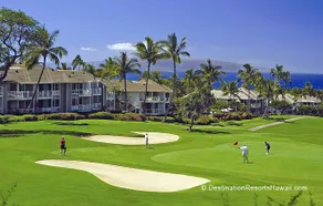 Hawaiian Reno on Wailea Blue Golf *Ocean View*Pool - Image 3
