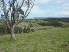 Shamwari Cottage Mystery Bay - Image 5