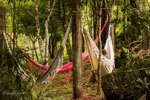 Romantic Cottage in Paradise Reserve - Image 4