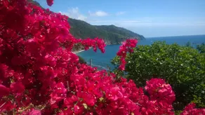 PARADISEN I BLÅ - Image 4