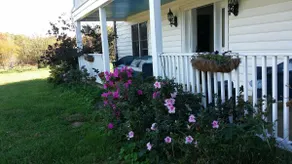 1893 House on Wild Oats Farm - Image 3