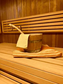 Wellness suite with private sauna and hot tub - Image 5