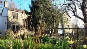 The Whitehouse in the Forest of Dean - Image 4