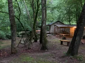 Rustic Creek side cabin (The Sugar Shack) - Image 3