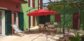 House Bougainvillea - Image 2