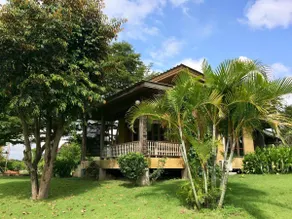 Paradise Bungalow - Image 3