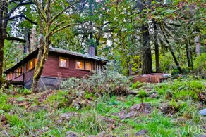 Rustic Riverside Cabin with Sauna & Cedar Hot Tub - Image 4