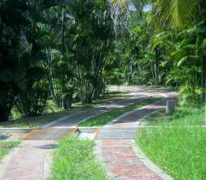 Spectacular and exclusive Villa in Agua de Dios! - Image 3