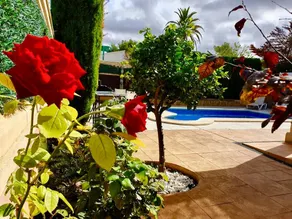 Luxury Petit Villa - Image 5