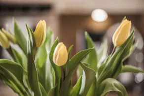 A nest to feel good - Image 4