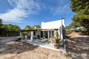 House in Ses Covetes, Es Trenc, Mallorca - Image 2