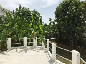 Perla Del Mar-3 bdrm-WALK to Malecón & Beach/Wi-Fi - Image 4