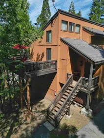 Wesley's Wonderland - Shaver Condo with large deck - Image 4