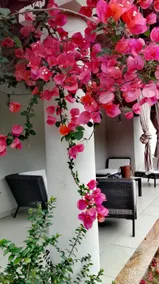 Beautiful Villa with garden - Image 2