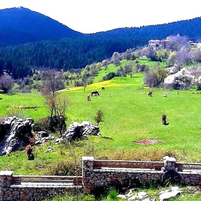 Elati Hills - Image 3