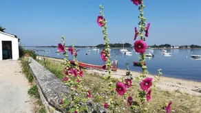 Unique view! Fisherman's house, Port de Penerf - Image 3
