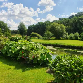 The Old Rectory Cottage, Quenington - Image 5