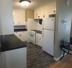 Historic 2 BR Comfy Home - 30 mi. to Chicago - Image 3