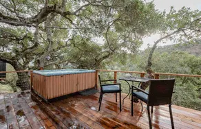 TreeHouse - Image 4