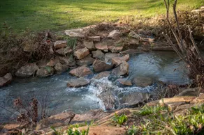 Stoney Creek - Image 5