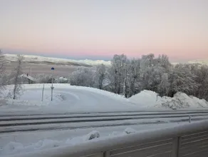 Panoramic Aurora Sea View Arctic Home - Image 2