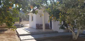 House by the sea, all amenities - Image 2