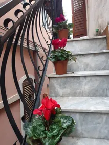 Casa Alessia - Image 4